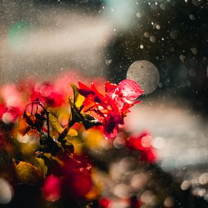 2019-0013