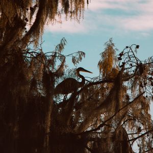 2019-0048