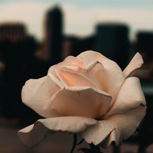 2019-0072