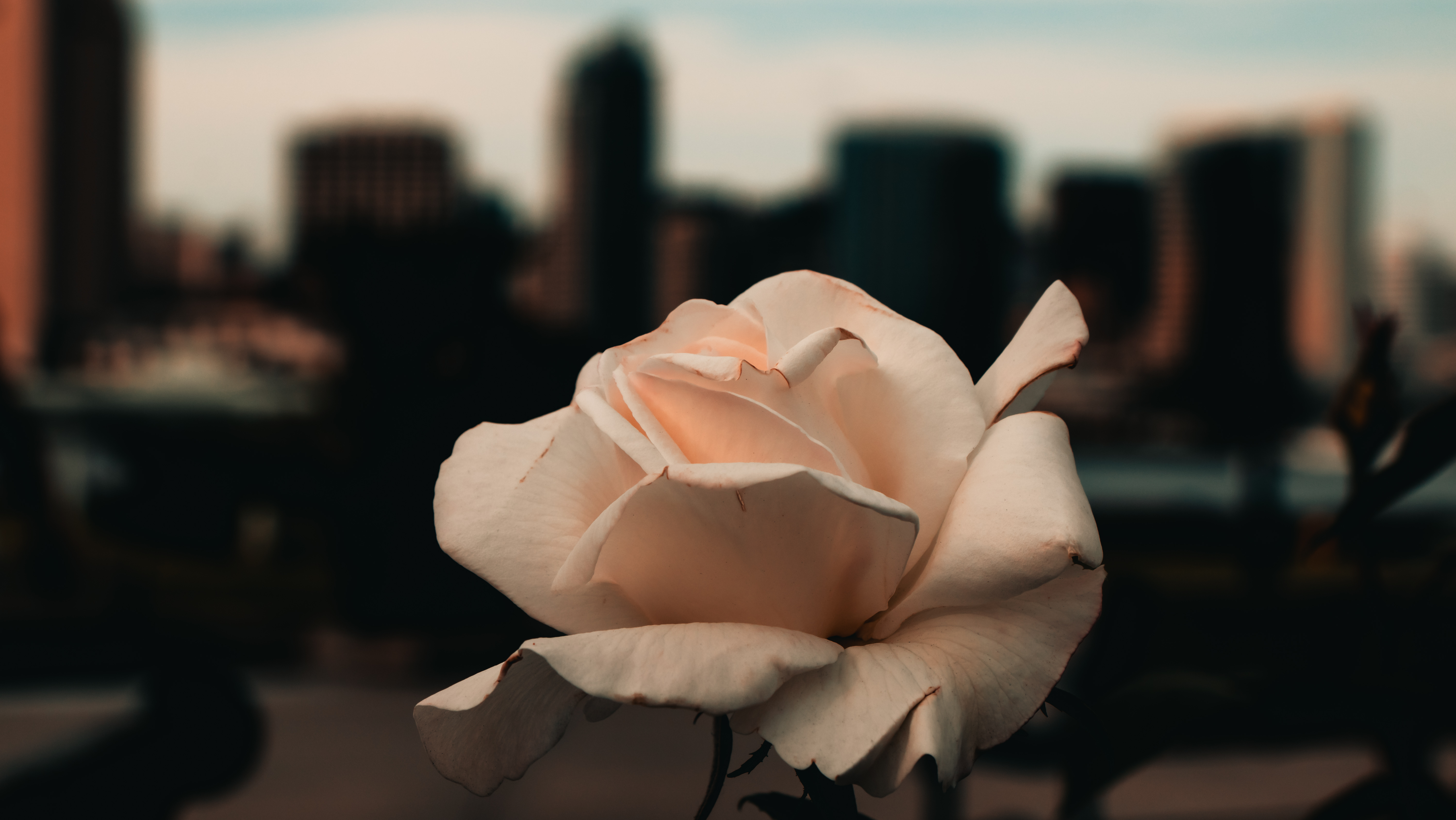 2019-0072